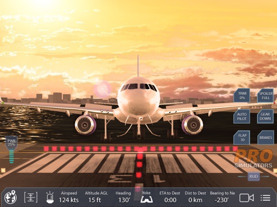 Pro Flight Simulator NY 4Kのおすすめ画像5