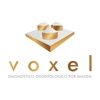 Radiologia Voxel icon