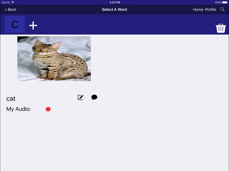 MyWords screenshot-3