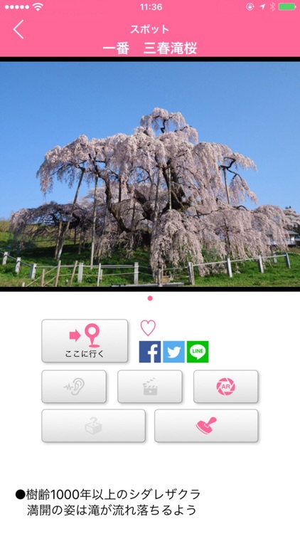 東北桜旅・酒蔵旅ナビ