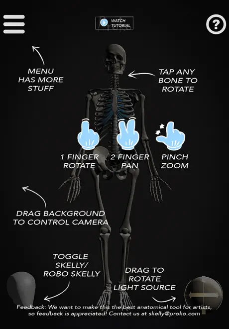 Skelly - Art Model