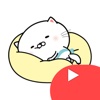 Cute Cat Animated Stickers