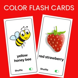 Colors Flash Cards