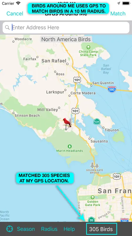 iBird Pro Guide to Birds screenshot 3 of 10