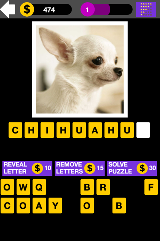 Top Dog Breed Quiz Maestro - náhled