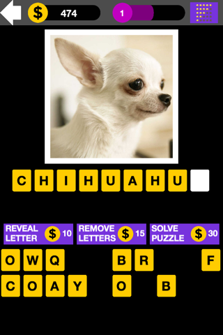 Top Dog Breed Quiz Maestro screenshot 3