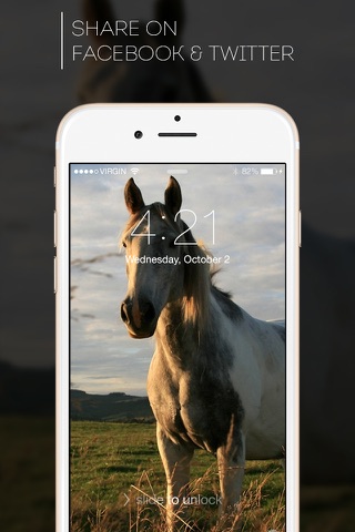 Beautiful HD Horse Wallpapers screenshot 3