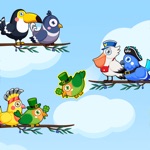 Download Color Bird Sort - Puzzle Game app