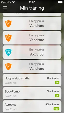 Game screenshot Motiomera hack