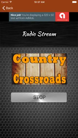 Game screenshot Country Radio Stations hack