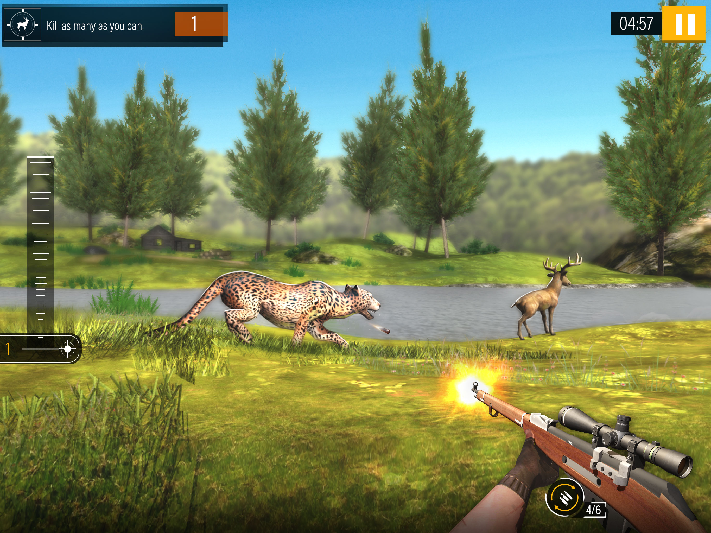 Wild Animal Hunting 2019