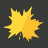 Maple Syrup Time icon