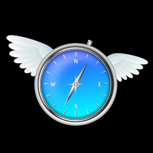 Fly Gps GO Map icon