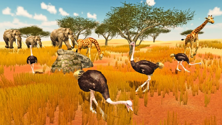 Furious  Ostrich Simulator screenshot-3