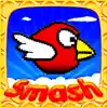 Smash Birds: Fun and Cool for Boys Girls and Kids delete, cancel