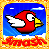 Smash Birds Fun and Cool for Boys Girls and Kids
