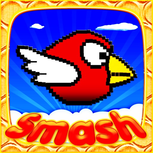 Smash Birds: Fun and Cool for Boys Girls and Kids icon