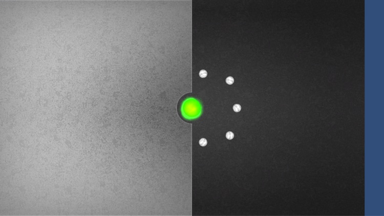 Neglect Whack-a-Mole