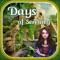 Days of Serenity Hidden Object