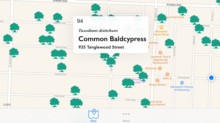 Cooper Young Garden Club Arboretum