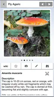mushrooms & other fungi uk iphone screenshot 1