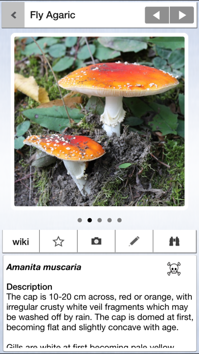 Screenshot #1 pour Mushrooms & other Fungi UK