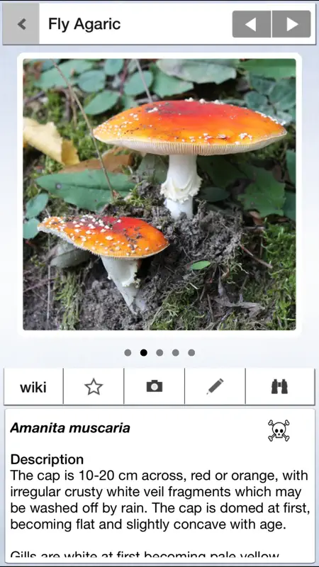 Mushrooms & other Fungi UK screenshot 1 of 8