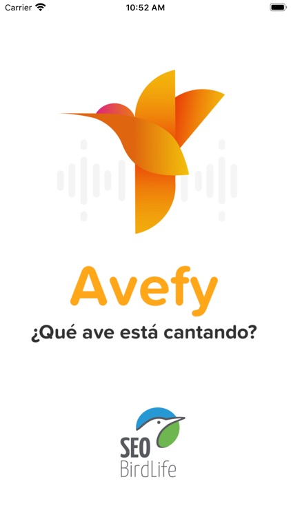 Avefy - SEOBirdlife