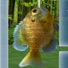 Icon Wild Fishing King 3D Simulator: Flick Fish Frenzy
