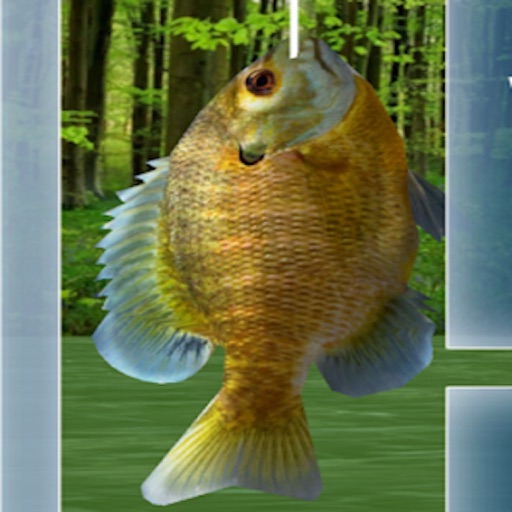 Wild Fishing King 3D Simulator: Flick Fish Frenzy icon