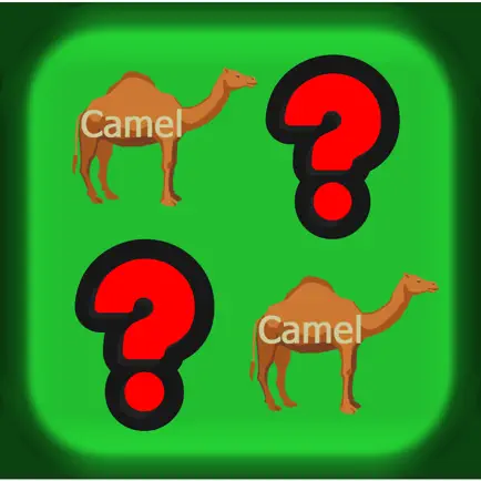 Matching king : animal english vocabulary learning Читы