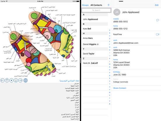 Foot Reflexology Chart iPad screenshot 5 - Health & Fitness app