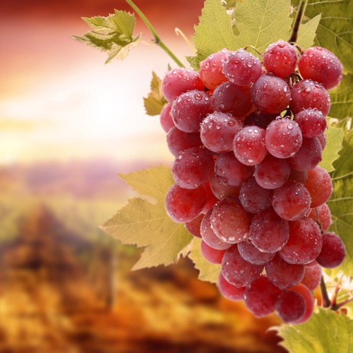 Grape Wallpapers HD-Quotes and Art Pictures icon