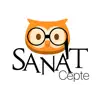 Sanat Cepte App Feedback