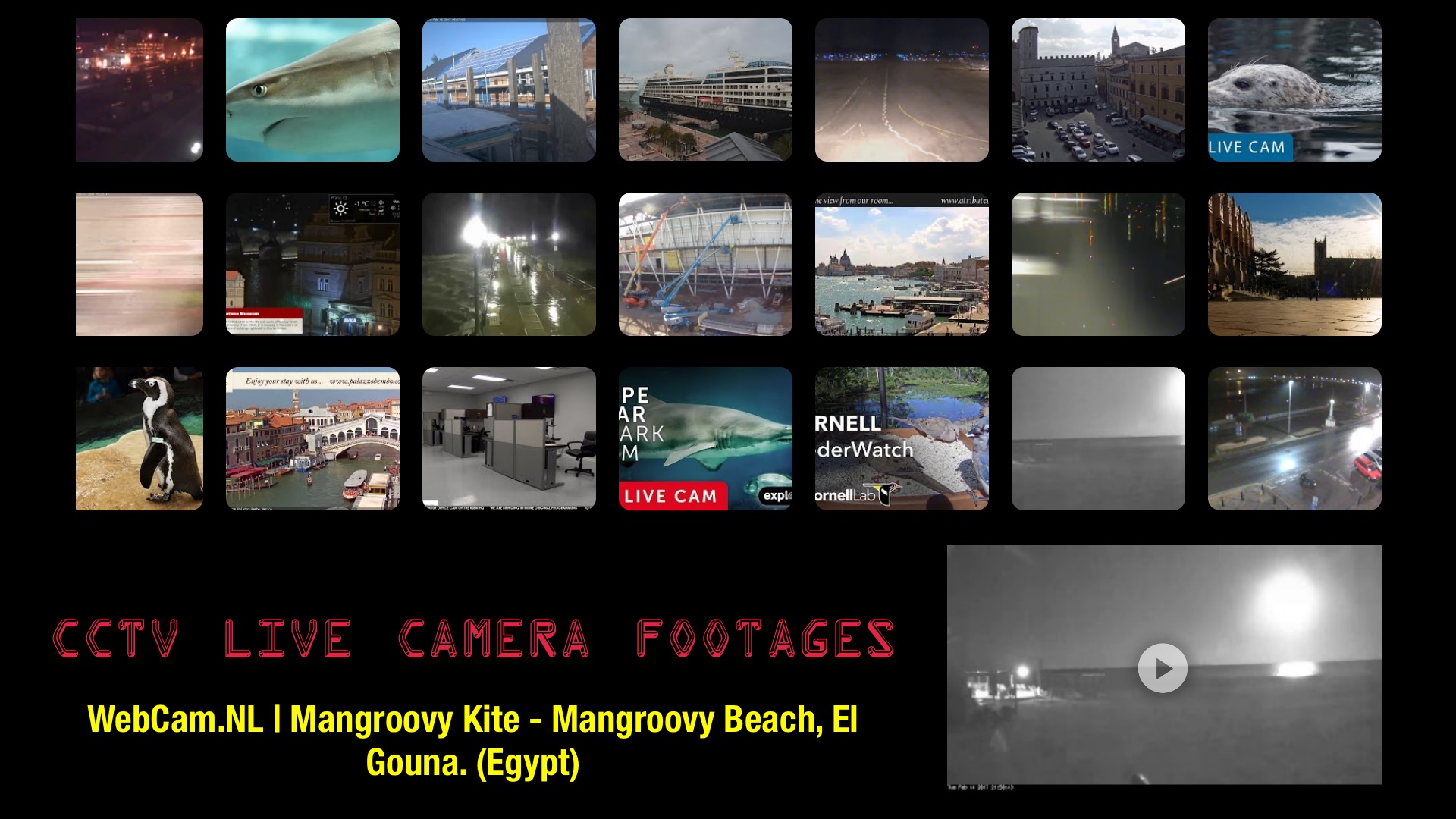 CCTV LIVE Camera & Player screenshot 8