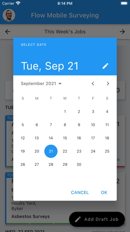 Flow Mobile Surveying