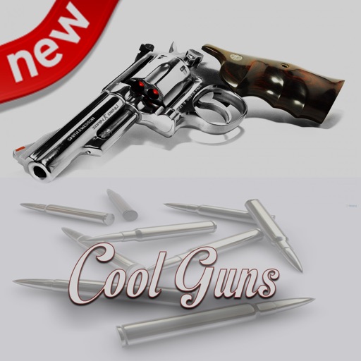 Amazing Gun Wallpapers HD icon