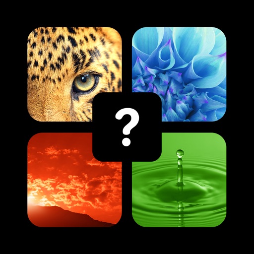 Pics Quiz Trivia - Fun Top Word Guess Games Icon