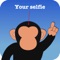 Animal Me is similar to the last iOS app that I submitted to App Store