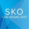 AA SKO 2017