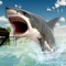 The crazy shark simulator game is here