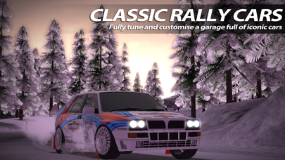 Rush Rally 2 screenshot1