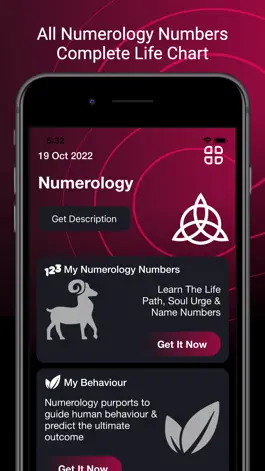 Game screenshot Daily Numerology apk