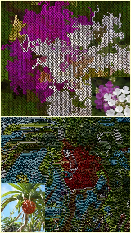 GRWalkImager - Random walk curves art from photo