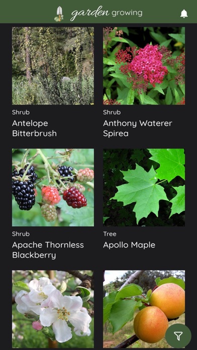 Garden Growing Screenshot
