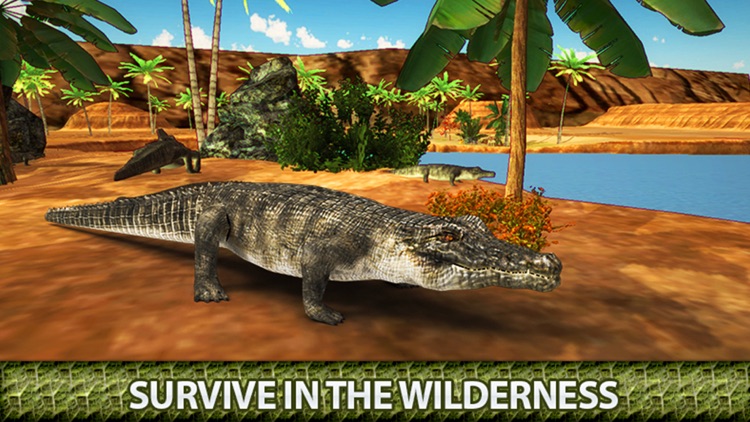 Angry Crocodile 3D Simulator - Wild Alligator screenshot-3