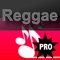 Backing Tracks Creator Pro is easy to use, sounds excellent and makes lots of fun