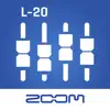 L-20 Control problems & troubleshooting and solutions