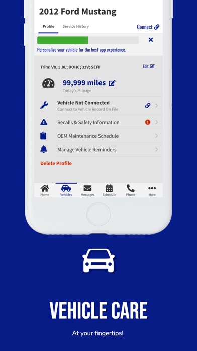 Schmidt Auto Care Screenshot