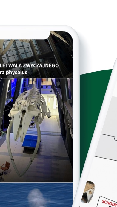 Wystawy Wydziału Biologii UG Screenshot